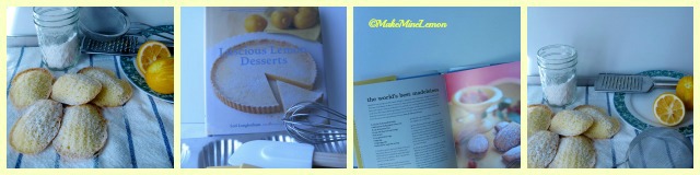 The World's Best Madeleines
